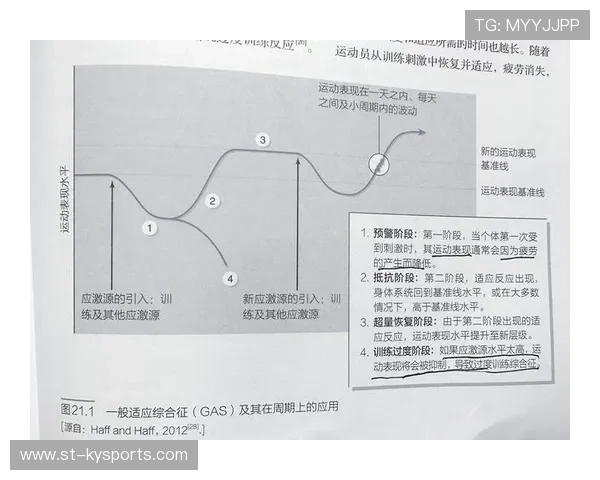 国际游泳教练在训练中采用周期化计划与个体化恢复方案提高效果 国际游泳教练在训练中采用周期化计划与个体化恢复方案提高效果